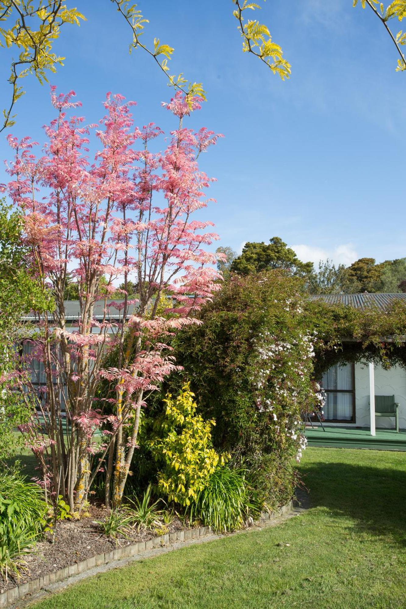 The Park Motel Motueka Bagian luar foto